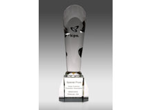 SPECIAL AWARD FOR INNOVATION